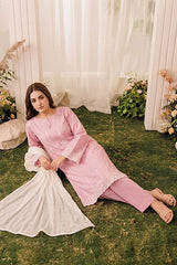 3 PIECE - EMBROIDERED LAWN SUIT