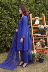 3 PIECE - EMBROIDERED LAWN SUIT