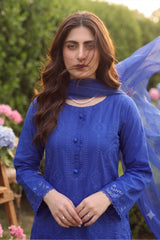 3 PIECE - EMBROIDERED LAWN SUIT